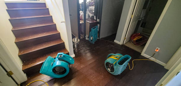 Best 24/7 water damage repair  in Frankfort Square, IL
