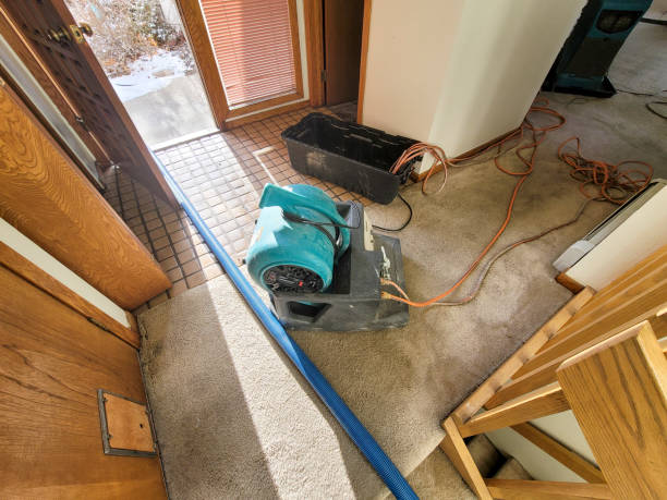 Best Ceiling water damage repair  in Frankfort Square, IL