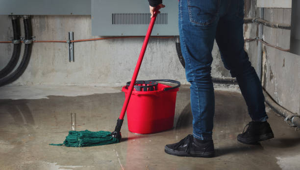 Best Sewage cleanup and water damage restoration  in Frankfort Square, IL