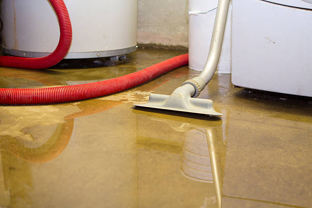 Water damage restoration insurance claims in IL