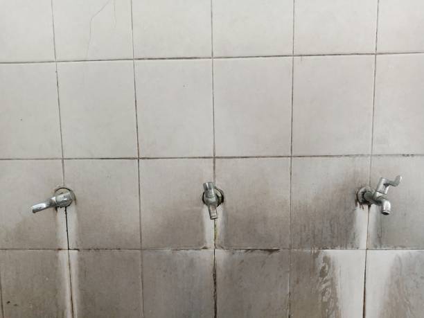 Best Sewage cleanup and water damage restoration  in Frankfort Square, IL