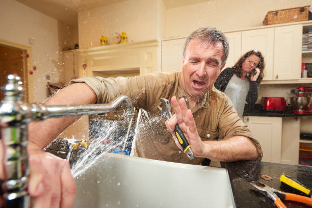 Best Ceiling water damage repair  in Frankfort Square, IL